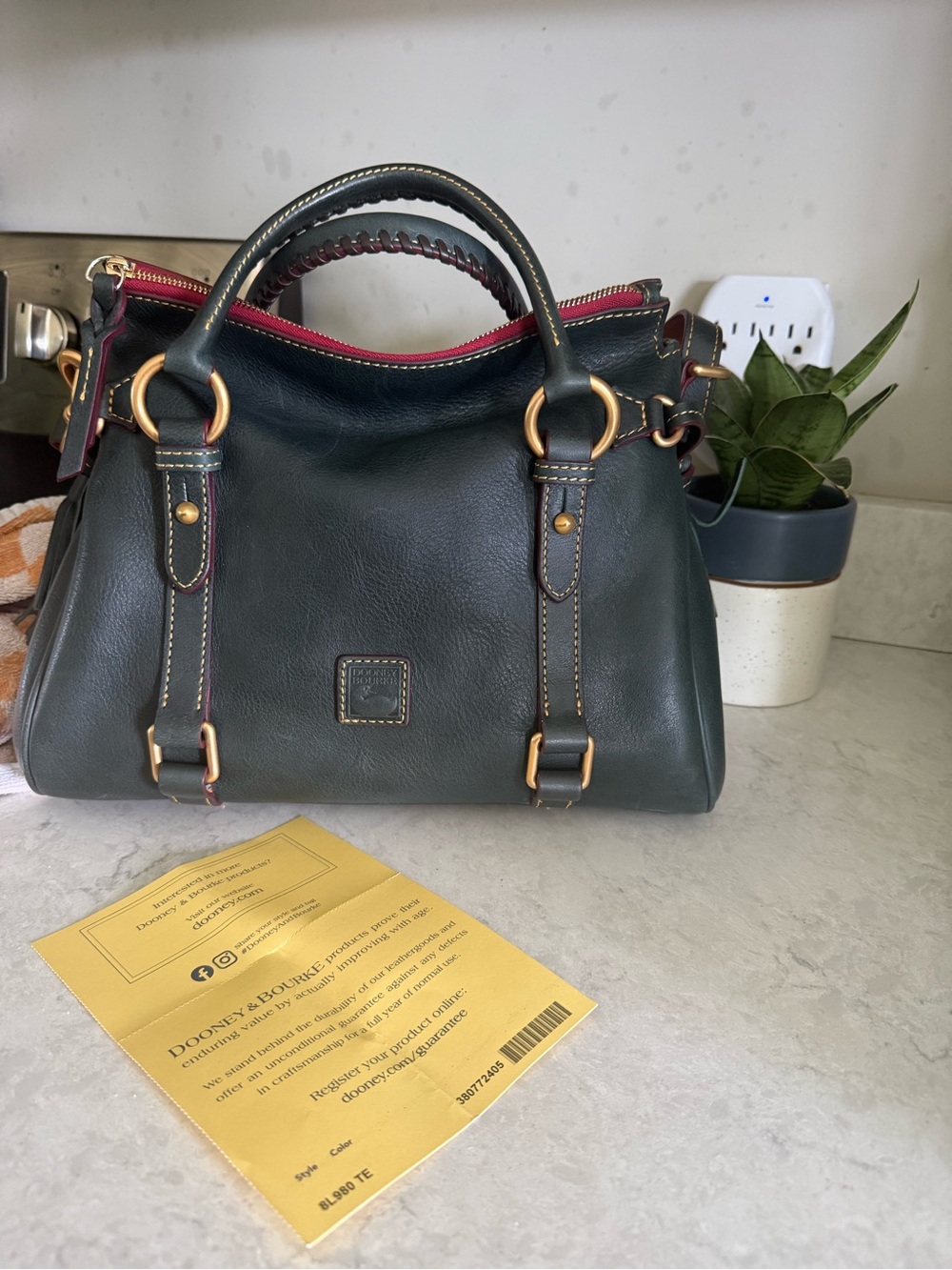 Dooney & Bourke TEAL Leather Satchel with Red Interior